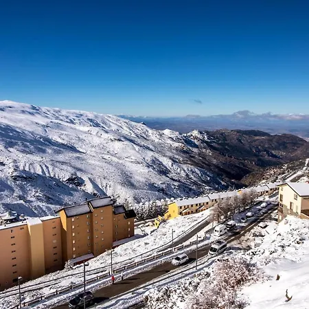 Trebol * Sierra Nevada